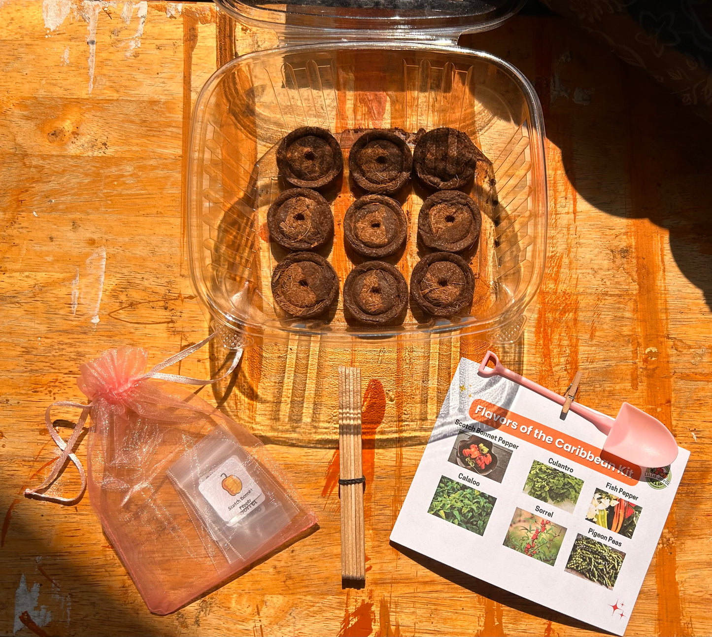 🌴 Harvesting Heroes Volume 3: Flavors of the Caribbean Garden Kit + Workbook