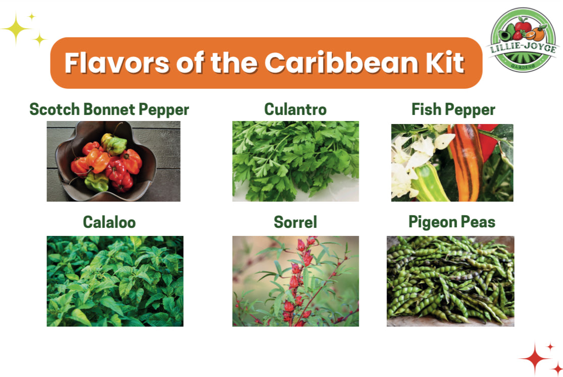 🌴 Harvesting Heroes Volume 3: Flavors of the Caribbean Garden Kit + Workbook