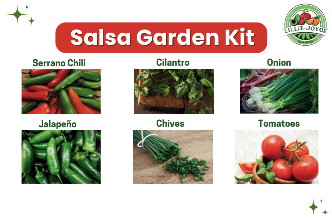 🌶️ Harvesting Heroes Volume 2: Salsa Garden Kit + Workbook