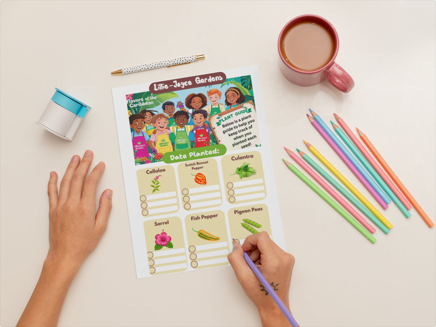 🌴 Harvesting Heroes Volume 3: Flavors of the Caribbean Garden Kit + Workbook