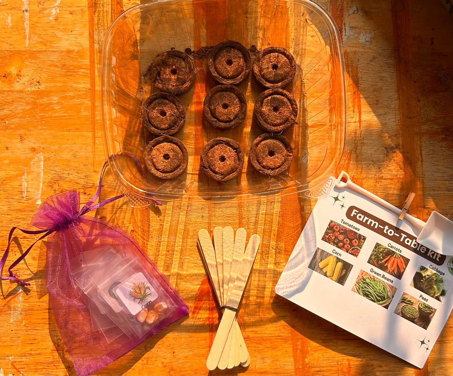 🥕 Farm-to-Table Garden Kit