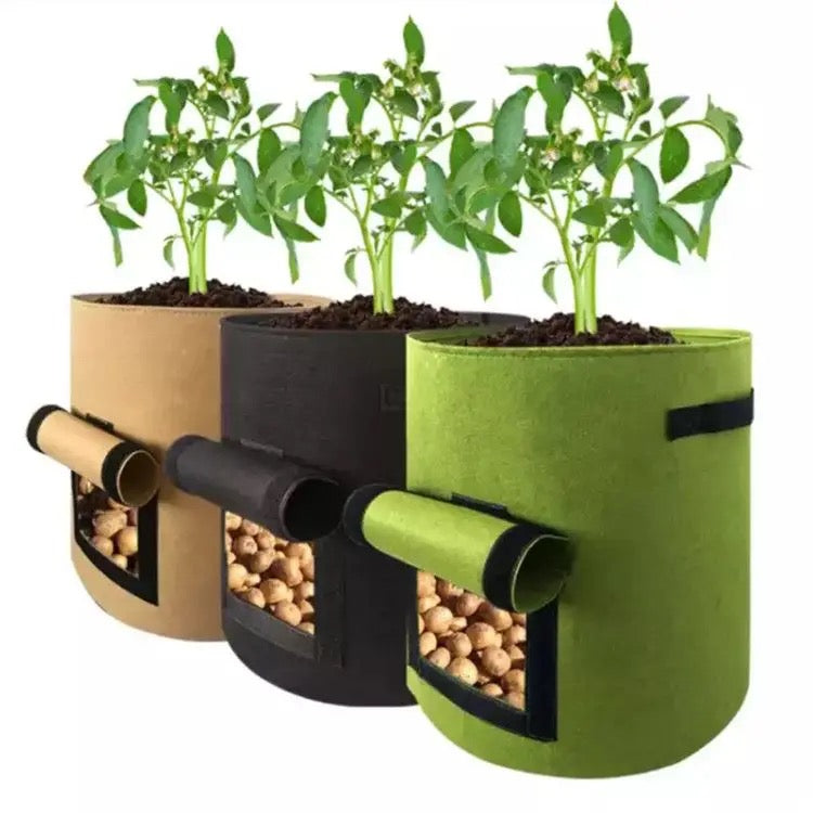 Grow Bag Kit