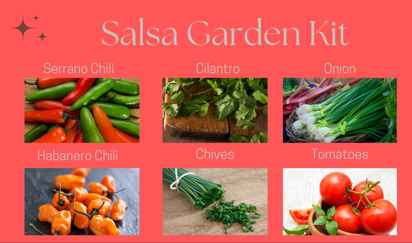 Salsa Garden Kit