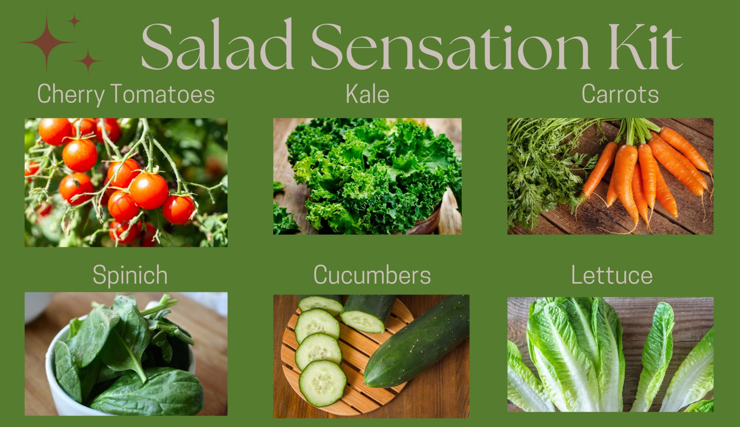 Salad Sensation Kit: