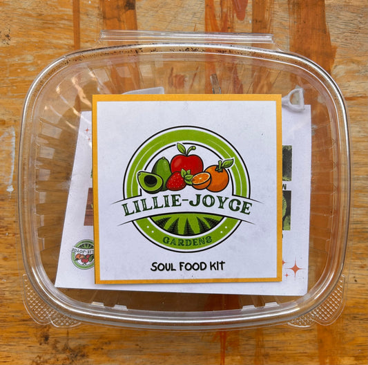 🌱 Harvesting Heroes Volume 1: The Soul Food Garden Kit + Workbook