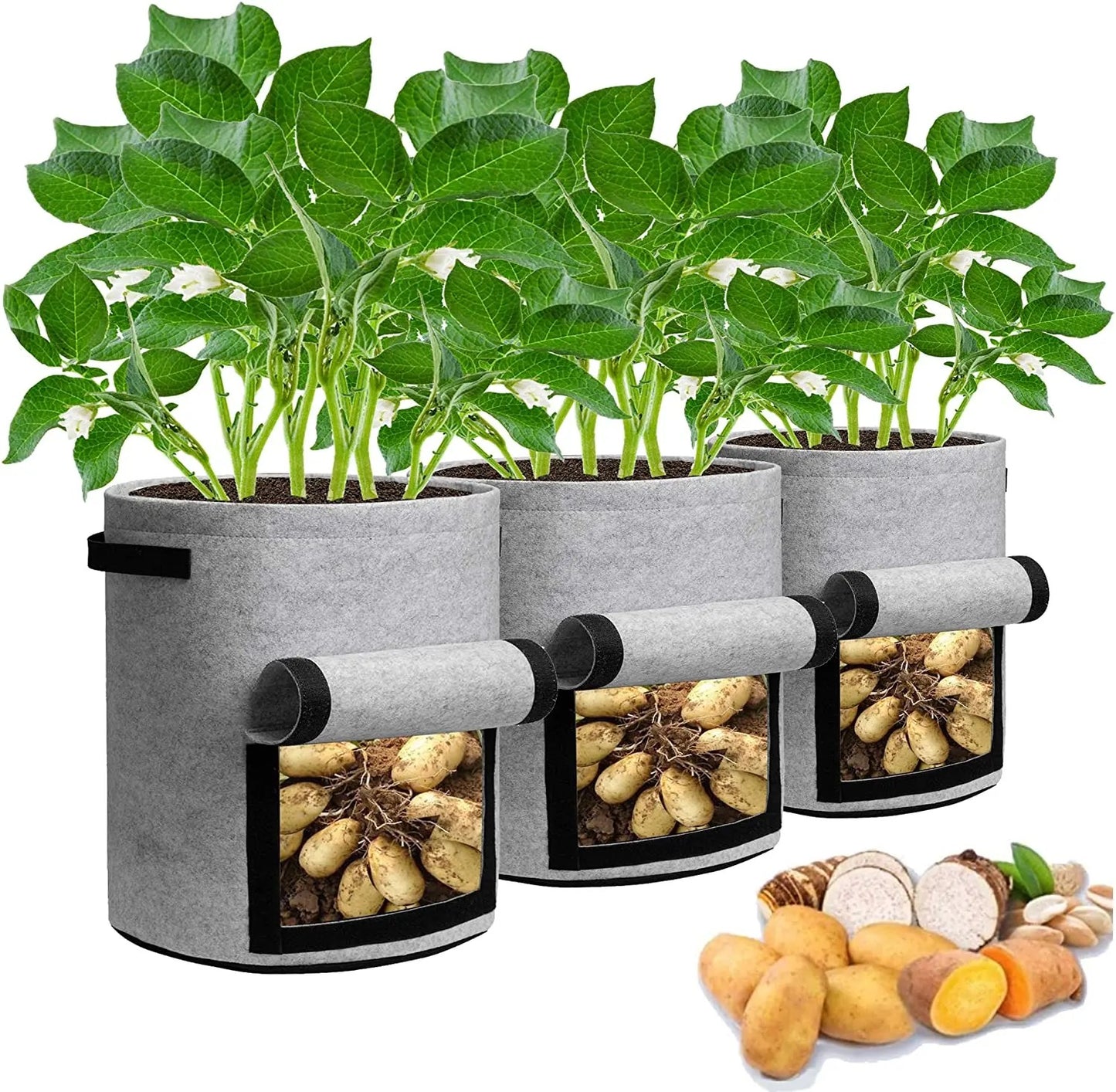 Grow Bag Kit