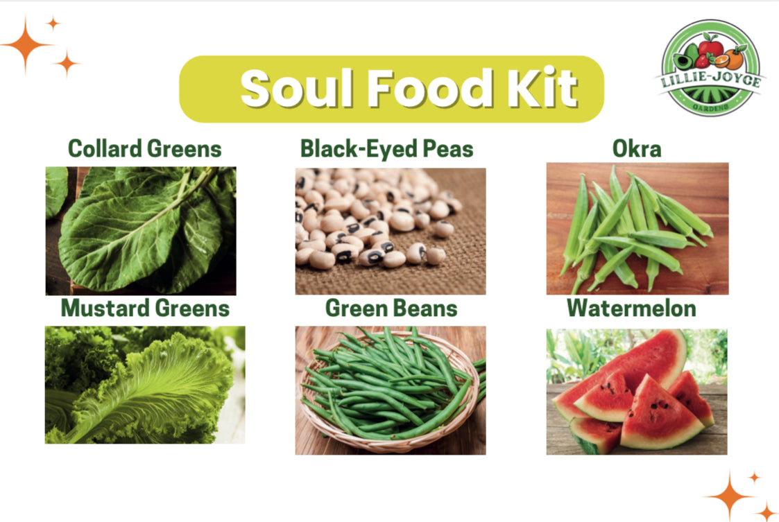 🌱 Harvesting Heroes Volume 1: The Soul Food Garden Kit + Workbook